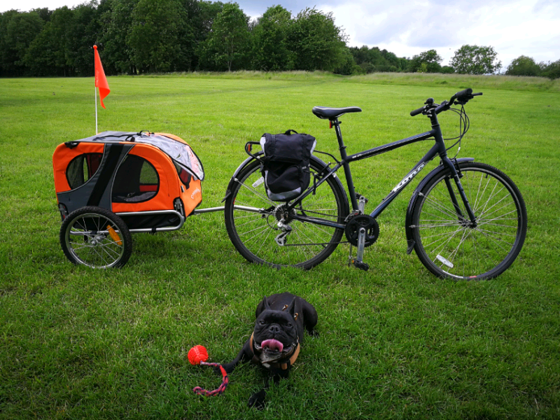 dog bike trailer gumtree